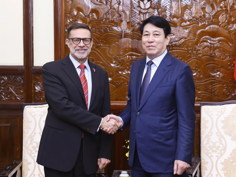 State President Luong Cuong (R) receives outgoing Australian Ambassador to Vietnam Andrew Goledzinowski in Hanoi on December 20. (Photo: VNA)