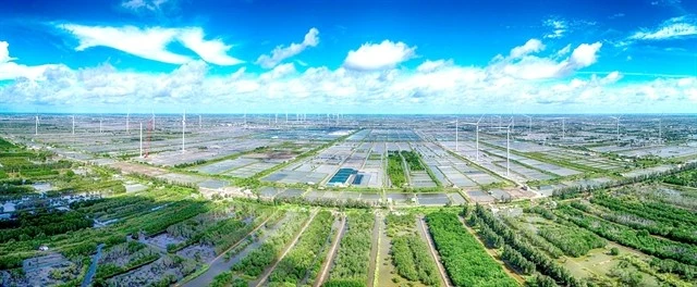 A wind power farm in Bac Lieu province. (Photo: VNA)