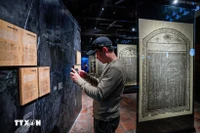 A visitor at the exhibition (Photo: VNA)