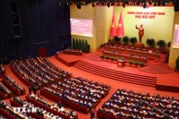 View of the opening session of the 14th National Party Congress. (Photo: VNA)