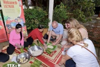 Foreign visitors experience making banh tet (cylindrical sticky rice cakes) (Photo: VNA) 
