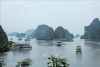 Ha Long Bay in the northeastern province of Quang Ninh. (Photo: VNA)