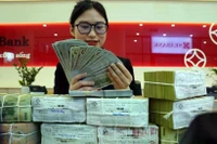 The daily reference exchange rate for the US dollar is set at 24,960 VND/USD on April 28. (Photo: VNA)