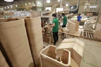 Wood production at the Nhat Nam Ply Wood Co., Ltd. (Photo: VNA)