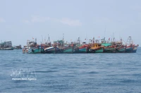 Illustrative image (Photo: VNA)
