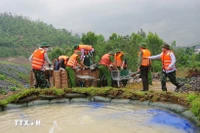 Training on response to reservoir incidents (Photo: VNA)