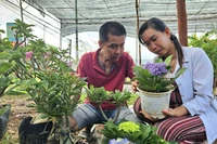 Le Hong Phuc and his wife Vo Thi Loan in Vinh Long province have developed their production of ornamental pots and bonsai trees using policy-based credit (Photo: VNA)