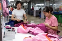 Garment production for export to the EU at the TNG company in Thai Nguyen province (Photo: VNA)