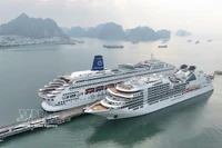 A panoramic view of Ha Long International Cruise Port bustling on the morning of the first day of the Lunar New Year 2026, with the arrival of the luxury super cruise ships Seabourn Encore and Piano Land. (Photo: VNA)