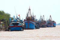 Fishing vessels in the Mekong Delta province of Ben Tre (Photo: nongnghiep.vn)