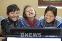 Illustrative image (Photo: VNA)