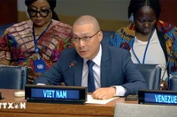 Minister-Counsellor Nguyen Hoang Nguyen, Chargé d’Affaires ad interim of the Permanent Mission of Vietnam to the UN, addresses the session. (Photo: VNA)