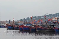 A section of the vessel anchorage area at the Lach Bang fishing port in Thanh Hoa. (Photo: Hoa Mai)