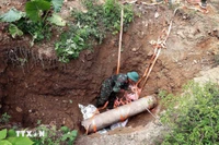 Illustrative photo (Photo: VNA)