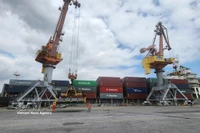 Ships dock at a port of Hai Phong Port Joint Stock Company during the Lunar New Year holiday. (Photo: VNA)