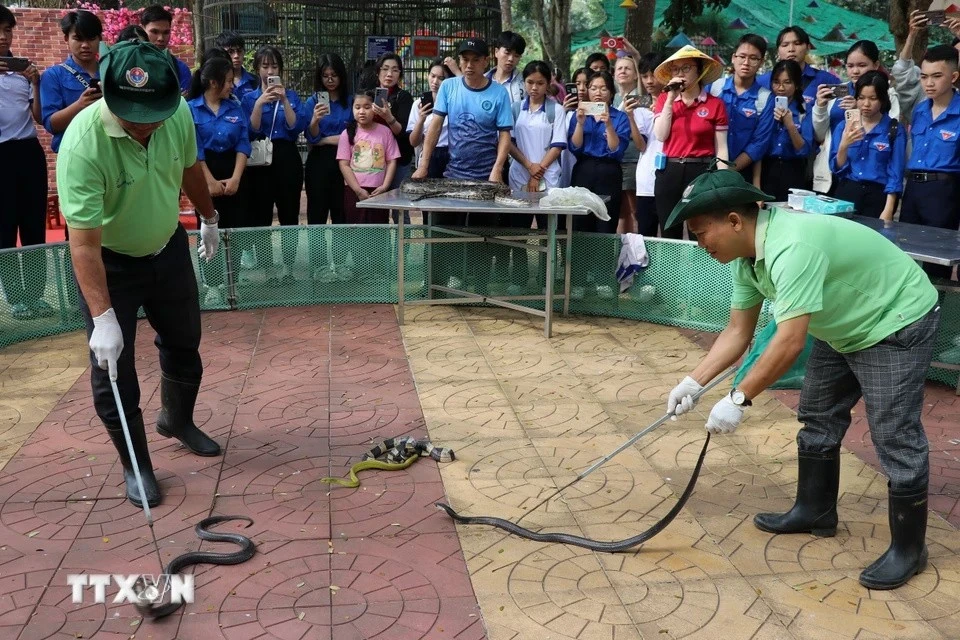 Visitors watch a demonstration on how to catch snakes. (Photo: VNA)