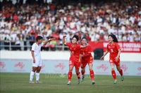 Vietnamese players celebrate Van Su’s opening goal. (Photo: VNA)