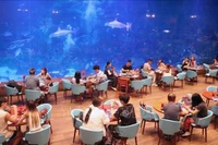 So far this year, Phu Quoc has welcomed about 4.4 million tourist arrivals, including 881,990 foreigners (Photo: VNA)