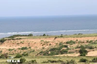 The chosen location for the construction of the Ninh Thuan 1 Nuclear Power Plant is Phuoc Dinh commune. (Photo: VNA)