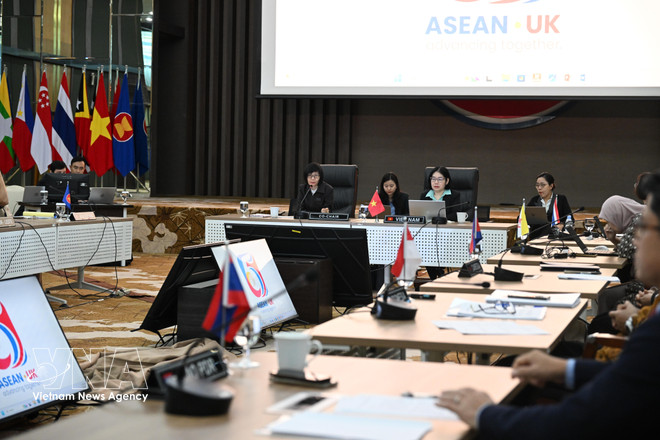 vnanet-asean-uk2.jpg