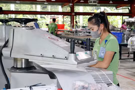 Workers at Maxport Limited Vietnam Co., Ltd. – Nam Dinh branch (Nam Dinh ward, Ninh Binh province). (Photo: VNA)