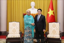 State President Luong Cuong (R) receives UN Deputy Secretary-General Amina J. Mohammed in Hanoi on April 17. (Photo: VNA)