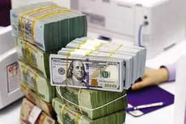 The State Bank of Vietnam sets the daily reference exchange rate at 25,049 VND/USD on February 13. (Photo: VNA)