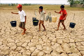 Drought-hit farmland in Cibarusa, Bekasi, Indonesia. (Photo: AFP/VNA)