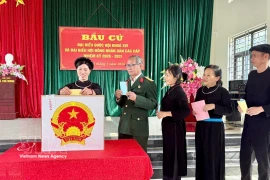 Vietnamese voters cast their ballots (Photo: VNA)