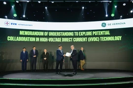 Representatives from EVN and GE Vernova pose for a group photo after signing the MoU. (Photo provided by the company)