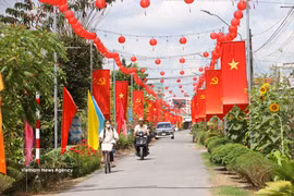A road in Vinh Long province decorated in celebration of the Election Day (Photo: VNA)