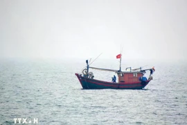 A Vietnamese fishing vessel operating in the northern waters of the Gulf of Tonkin. (Photo: VNA)