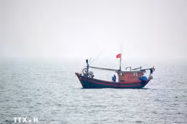 A Vietnamese fishing vessel operating in the northern waters of the Gulf of Tonkin. (Photo: VNA)