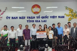 Nutifood hands over 10 billion VND to the Vietnam Fatherland Front Committee of Gia Lai province (Photo: VNA)