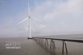 Vietnam holds strong potential for solar and wind energy development. (Photo: VNA)