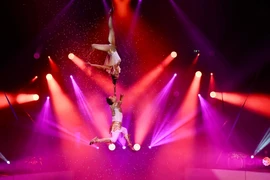 The act “Duo Love” by Meritorious Artists Thanh Tuan and Thu Huong (Photo: Vietnam Circus Federation) 