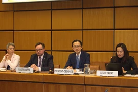 Ambassador Do Hung Viet (second from right), Permanent Representative of Vietnam to the United Nations and President-designate of the 11th Review Conference (RevCon 11) of the Treaty on the Non-Proliferation of Nuclear Weapons (NPT), chairs regional group consultations. (Photo: VNA)