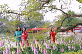 Women in traditional ao dai pose for photos besides Hoan Kiem Lake, a famous landmark in Hanoi. (Photo: VNA) 