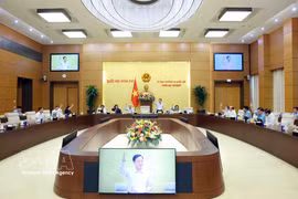 Members of the National Assembly Standing Committee vote on a resolution on the establishment of 10 wards in Dong Nai province on April 14. (Photo: VNA) 