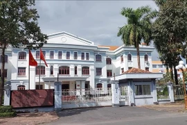 Illustrative image (Photo: VNA)