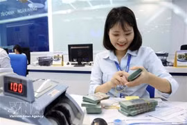 The State Bank of Vietnam sets the daily reference exchange rate at 25,059 VND/USD on March 10. (Photo: VNA)