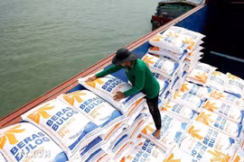Rice for export (Photo: VNA)