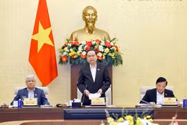 National Assembly Chairman Tran Thanh Man speaks at the meeting with representatives of the NA’s agencies and the NA Office. (Photo: VNA)