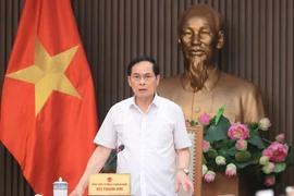 Deputy Prime Minister and Minister of Foreign Affairs Bui Thanh Son speaks at the meeting (Photo: VNA)
