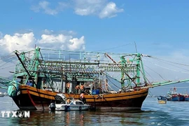 Da Nang Border Guard officers inspect the departure documents of a fishing vessel. (Photo: VNA) 