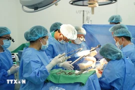 Doctors in Cho Ray Hospital perform a lung transplant. (Illustrative photo: VNA)