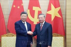 Vietnamese Party General Secretary To Lam (R) receives Party General Secretary and President of China Xi Jinping (Photo: VNA)