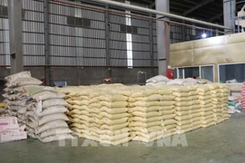 Vietnam exports 6.6 million tonnes of rice, earning nearly 3.4 billion USD as of September 15. (Photo: VNA)