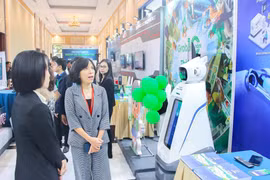Illustrative image (Photo: Vietnam E-commerce and Digital Economy Agency)