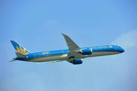 Vietnam Airlines aircraft (Photo: VNA)
